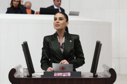 Milletvekili Özcan'dan sokak hayvanları için Bakan Yumaklı’ya önerge