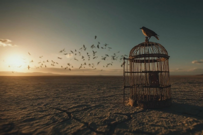 Sezen Aksu 'Linç'le geldi