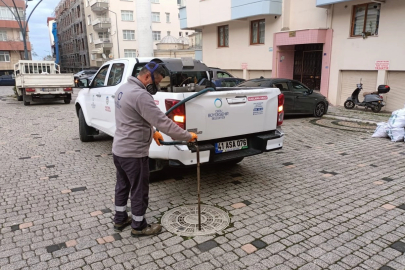 Ordu’da kışlak mücadelesi başladı 