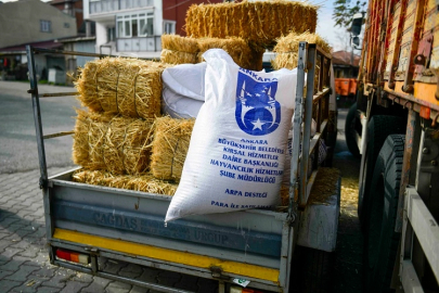 ABB'nin kırsal kalkınma destekleri sürüyor