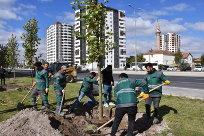 Kayseri Kocasinan şehri oksijen deposuna çevirdi