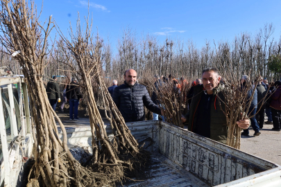 Kocaeli'de üreticilere yüzde 50 hibeli fidan dağıtımına devam