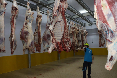 Kasapların tercihi Kocaeli Mezbahası