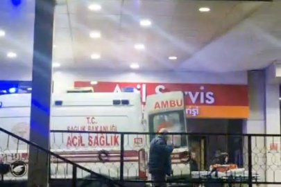 Ormanda kaza kurşunuyla vuruldu